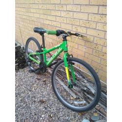 Carrera Abyss Junior Child Hybrid Bike 20 inch wheel