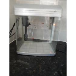 4ft fish tank plus a breeding tank and a smaller tank