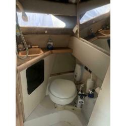 Boat. Cabin cruiser