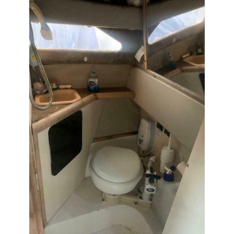 Boat. Cabin cruiser